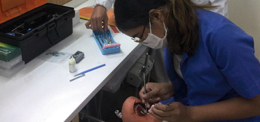 Dental Students Return To The Simulation Laboratory